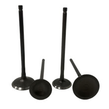 Engine Exhaust Valves Inlet Intake Stem Kit for BAJAJ 200NS NS200 AS200 RS200 Rouser 200 Motorcycle Accessories