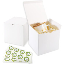 Witte geschenkdozen (20 stuks, 12,5x12,5 cm), geschikt voor huwelijks-, kerst-, Valentijns- en bruidsmeisjescadeaus, eenvoudig in elkaar te zetten +