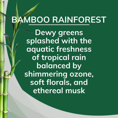 Désodorisant solide, lot de 3, Bambou Forêt tropicale 2