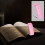 Rechargeable Book Reading LED Light, Flexible Clip Light, Portable USB Light, Adjustable Angle, for Nighttime Reading, Bookmark and Mini Flashlight 4