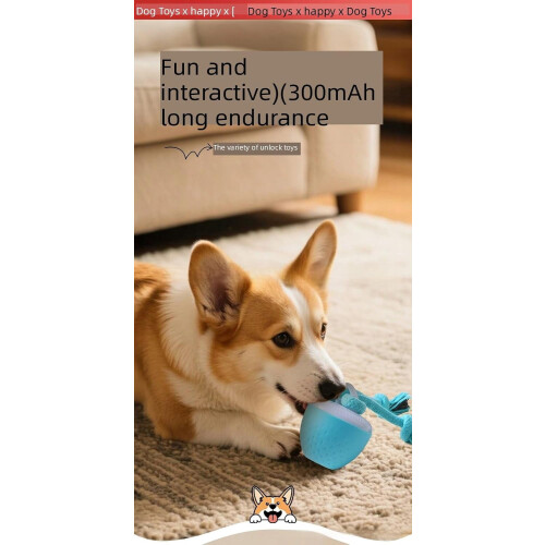 Balle électrique pour chien avec fonction d'évitement d'obstacles et connexion USB 1