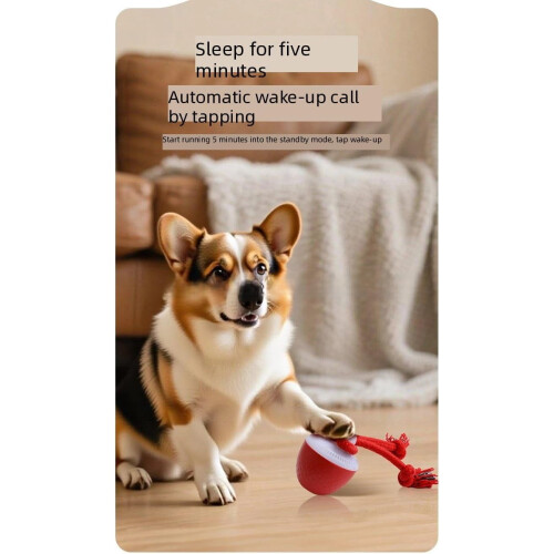 Balle électrique pour chien avec fonction d'évitement d'obstacles et connexion USB 2