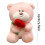 Rose Bear Teddy Toy with Rose Bundle for Valentine's Day 3
