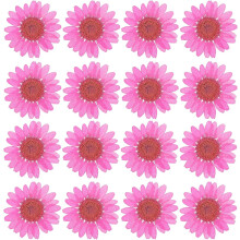48PCS Dried Daisy Flower, Vacuum Packaging, Pressed Flower for House Decoration, Jewelry Making, Phone case Decoration