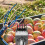 unbranded Fruit Picker Jujube Tool Orange Picker Fruit Device Accessory 6