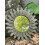 Espelho de parede de madeira estilo Boho Sunburst de 53 cm (21 polegadas) 4