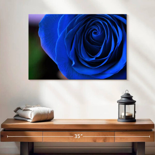 Quadro em tela com arbusto de rosas azuis, 61 x 41 cm (24 x 16 polegadas) 1