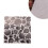 Embossing Folders for Card Making Scrapbook Seashells 6