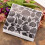 Embossing Folders for Card Making Scrapbook Seashells 8