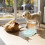 Αυτόματος Διανομέας Νερού για Κατοικίδια 3,8L για Σκύλους και Γάτες 4