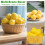 Lămâi artificiale cu fructe decorative, 20 buc. 3