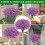 UV-resistente kunstige blomster lilla 24 bundter 5