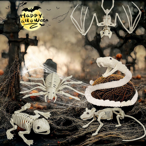 Σκελετοί ζώων για το Halloween (Σκύλος, Νυχτερίδα, Βάτραχος, Σκορπιός, Αράχνη, Φίδι, 2