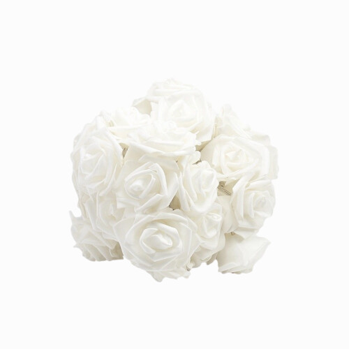LED Rose String Lights Warm White 33ft US Plug