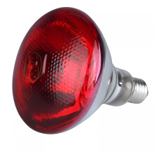 Lampe chauffante infrarouge LED 250 W rouge pour volaille (1 unité)