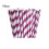 Carnival Disposable Tableware Set for 4 People 3