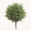 60 cm kunstige cedertræer, topiary, 2 stk. 5
