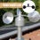 Vindkoppsanemometer reservset 4