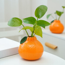Vase orange avec branche artificielle et table de fruits en plastique