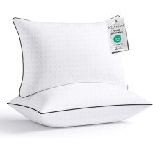 Ensemble de 2 oreillers Queen – Microfibre douce et offrant un bon soutien