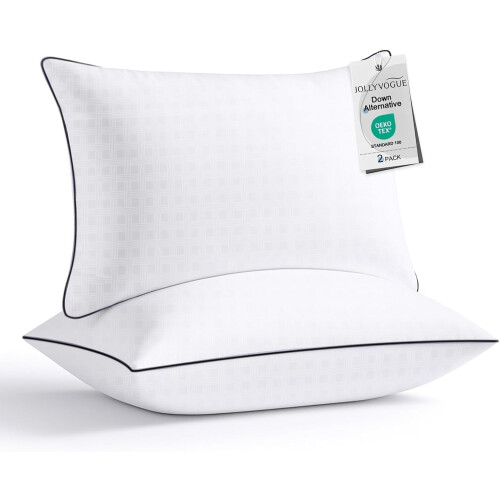 Ensemble de 2 oreillers Queen – Microfibre douce et offrant un bon soutien