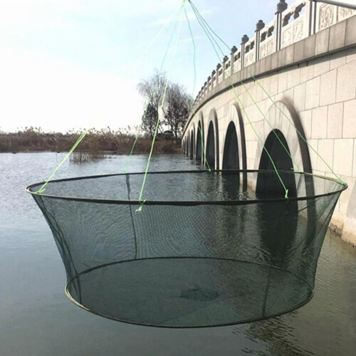 Foldbart nedhængningsnet til rejer og fisk, 80/100 cm 1