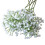 PRETXORVE Baby Breath Διακοσμητική Φωτογραφία Γάμου 2