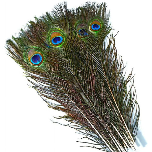 Pacote com 50 penas de pavão de 40 a 45 cm (16 a 18 polegadas) para artesanato, decoração de casamento e Halloween.