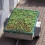 Filet pour remorque 3 x 4 m 2