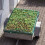 Filet pour remorque 3 x 4 m 3