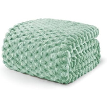 Queen Size Fleece Blanket for Bed, 90x90 Inches Stylish Jacquard Velvet Soft Blanket, Fuzzy Cozy Lightweight for Winter, Sage Green
