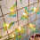 Φωτάκια σε σχήμα πεταλούδας, 3M20LED μωβ, ενεργοποιούμενα με μπαταρία, για 6
