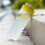 550ml portable shaker cup single layer plastic 6
