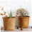 OUNONA 2Pcs Light Brown Woven Trash Can Straw Braid Basket Multipurpose Storage Container for Home 7