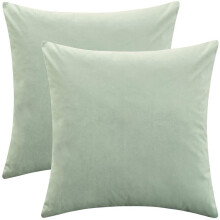 Lot de 2 housses de coussin décoratives carrées en velours épais et doux, 45 x 45 cm, pour canapé, chambre ou voiture.