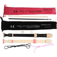 1 set of Clarinet Instrument Clarinet Plastic Student Practice Wind Instrument