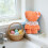Bear Dish Towel Set Soft Orange Kitchen Towel 5