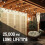 S14 LED String Light Bulbs E26 Base 1W 2700K Warm White 4