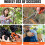 Gartenschere aus Edelstahl, orange, 3er-Pack 6
