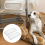 HEPA-filter för TrueAir Compact Pet, 2-pack 5