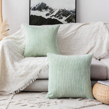 Throw Pillow Covers Green 20x20 Super Soft Striped Velvet Throw Pillows for Couch Living Room Summer, Set of 2, 20 x 20 Inch, Mint