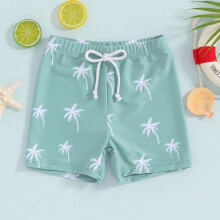 Little Boys Swim Trunks Kids Cartoon Dinosaurs Floral Swim Shorts Quick Dry Bathing Suit Swimwear 6M-4Y