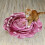 Gallickan Rose Rug2ft, Στρογγυλά Χαλιά Χαριτωμένο Βελούδινο Χαλί σε Σχήμα Λουλουδιού Circle 6