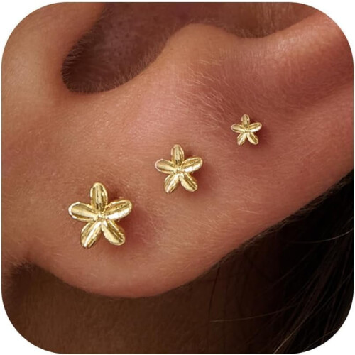 14K Gold Plated Flat Back Stud Earrings for Women 3 Pair