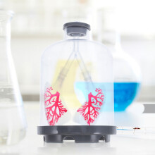 Szczegółowy, regulowany model płuc Tineasur do eksperymentów biologicznych o realistycznych cechach i zastosowaniu edukacyjnym