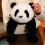 Panda-pehmolelu, erittäin pehmeä, 12 tuumaa 3