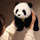 Panda-pehmolelu, erittäin pehmeä, 12 tuumaa 8