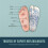 Reflex Therapy Socks with Tools – Acupressure Foot Socks 4