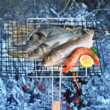 1-pak justerbar fiskekurv til udendørs grillere, 43x22,5x0,8 tommer