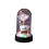 LED Rose Bear Night Light with Blue Preserved Flower and 2